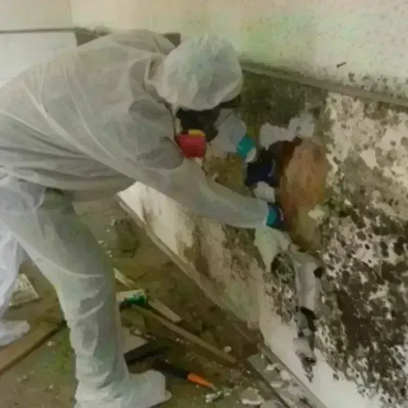 Mold Remediation and Removal in Haakon County, SD